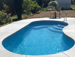 Kidney Shaped Swimming Pools Manufacturer in Chennai